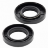 Kit joints spi de vilebrequin ALL BALLS 125 YZ 2005 à 2024