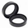 Paire de joints spi de fourche ALL BALLS - 36x48x10,5