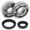 Kit roulements de vilebrequin et joints spy ALL BALLS 80 RM / 85 RM 1989 à 2023