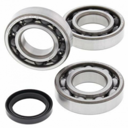 Kit roulements de vilebrequin et joints spy ALL BALLS POLARIS Sportsman 400
