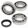 Kit roulements de vilebrequin et joints spy ALL BALLS POLARIS Sportsman 400