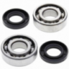Kit roulements de vilebrequin et joints spy ALL BALLS KFX 80 03-06, Suzuki LT-80 87-06