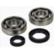 Kit roulements de vilebrequin et joints spy ALL BALLS YFZ 350 Banshee 87-09