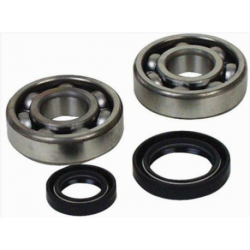 Kit roulements de vilebrequin et joints spy ALL BALLS YFZ 350 Banshee 87-09
