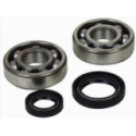 Kit roulements de vilebrequin et joints spy ALL BALLS YFZ 350 Banshee 87-09