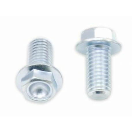 Kit vis + rondelles M6X1X20mm Bolt par 10