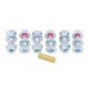 Kit vis et ecrous de couronne Bolt argent par 6