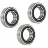 Kit roulements de roue arrière Fantic 250 450 XXF XEF 2022 à 2023