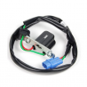 Capteur d'impulsion d'allumage KTM 250 SXF / EXCF