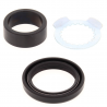 Kit réparation arbre de sortie de boite ALL BALLS Yamaha YZ 125 2005 à 2022