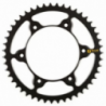 Couronne acier Prox RM RMZ 51 dents