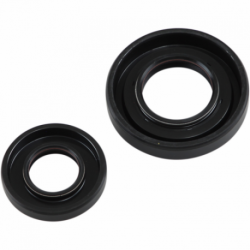 Kit joints spi de vilebrequin A250 TCR 1985 à 1986 + TRX250R 1986 à 1989