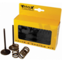 Kit soupapes admission / ressorts 250 CRF 2008 à 2009