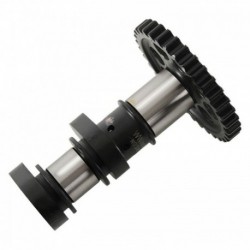 Arbre à cames admission HOT CAMS - Niveau 1 KTM 250 SXF 2016 à 2021 / 250 FC 2016 à 2022 / 250 MCF 2020 à 2023