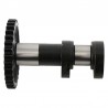 Arbre à cames échappement HOT CAMS - Niveau 1 / 2 KTM 250 SXF 2016 à 2021 / 250 FC 2016 à 2022 / 250 MCF 2020 à 2023