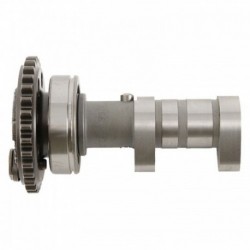Arbre à cames échappement HOT CAMS - Niveau 2 Yamaha 450 YZF