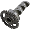 Arbre à cames admission HOT CAMS - Niveau 2 Yamaha 250 YZF / 250 WRF 2001 à 2016