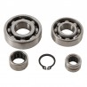 Kit roulements boîte de vitesse HOT RODS Yamaha YZ 80 1984 à 2001