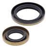 Kit joints spi de vilebrequin ALL BALLS GAS GAS 125 EC 2001 à 2015