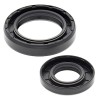 Kit joints spi de vilebrequin ALL BALLS 250 YZ 1999 à 2001