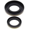 Kit joints spi de vilebrequin ALL BALLS 250 RM 2003 à 2004