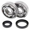 Kit roulements de vilebrequin et joints spy ALL BALLS 125 RM 1989 à 2008