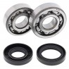 Kit roulements de vilebrequin et joints spy ALL BALLS 80 YZ 1993 à 2001 / 85 YZ 2002 à 2018