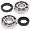 Kit roulements de vilebrequin et joints spy ALL BALLS 125 YZ 1986 à 2000