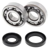 Kit roulements de vilebrequin et joints spy ALL BALLS 125 YZ 2001 à 2004