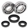 Kit roulements de vilebrequin et joints spy ALL BALLS 250 YZ 1998 à 2000