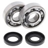 Kit roulements de vilebrequin et joints spy ALL BALLS 125 YZ 2005 à 2024 / 125 XX XE