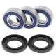 Kit roulements de roue arrière ALL BALLS Yamaha TT-R250