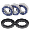 Kit roulements de roue arrière ALL BALLS Yamaha TT-R250