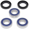 Kit roulements de roue arrière ALL BALLS Suzuki 125 RM / 250 RM