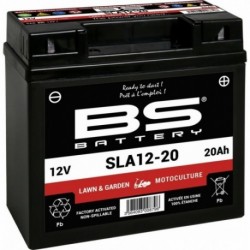 Batterie BS BATTERY SLA12-20