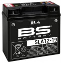 Batterie BS BATTERY SLA12-19