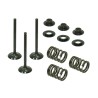Kit soupapes d'échappement acier avec ressorts PSYCHIC 450 YZF 2003 à 2009