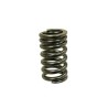 Ressort de soupape échappement / admission PSYCHIC HONDA 150 CRF F