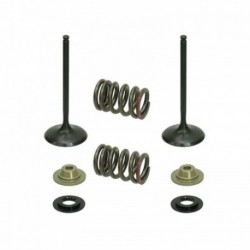 Kit soupapes d'échappement acier avec ressorts PSYCHIC 250 YZF 2001 à 2013