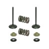 Kit soupapes d'échappement acier avec ressorts PSYCHIC 250 CRF 2008 à 2009
