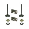 Kit soupapes d'échappement acier avec ressorts PSYCHIC 250 CRF 2004 à 2007