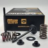 Kit soupapes d'échappement acier avec ressorts PSYCHIC 450 YZF 2003 à 2009