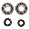Kit roulements et joints spi de vilebrequin HOT RODS 250 KX 1987 à 2001 / 250 KDX 1991 à 1994