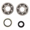 Kit roulements et joints spi de vilebrequin HOT RODS 125 RM 1999 à 2008