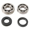 Kit roulements et joints spi de vilebrequin HOT RODS 80 YZ 1993 à 2001
