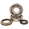 Kit roulements et joints spi de vilebrequin HOT RODS 250 RM 2003 à 2004