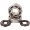 Kit roulements et joints spi de vilebrequin HOT RODS 125 YZ 2005 à 2024