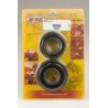 Kit roulements et joints spi de vilebrequin HOT RODS TRX 450