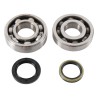 Kit roulements et joints spi de vilebrequin HOT RODS 450 RMZ 2008 à 2024