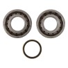 Kit roulements et joints spi de vilebrequin HOT RODS 250 SXF 2011